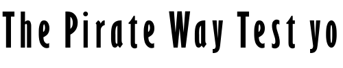 Font : GarrisonSans-ExtraCond Custom Text : The Pirate Way Test your own text here Click to download or to view this font on a tshirt that can be custom printed in Bali