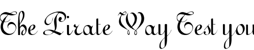 Font : GesseleScript Custom Text : The Pirate Way Test your own text here Click to download or to view this font on a tshirt that can be custom printed in Bali