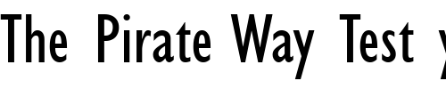 Font : Gill-Condensed-SSi-Condensed Custom Text : The Pirate Way Test your own text here Click to download or to view this font on a tshirt that can be custom printed in Bali