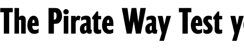 Font : Gill-Display-Compressed-LET-Plain-1 Custom Text : The Pirate Way Test your own text here Click to download or to view this font on a tshirt that can be custom printed in Bali