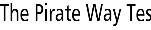 Font : Gilliam-2 Custom Text : The Pirate Way Test your own text here Click to download or to view this font on a tshirt that can be custom printed in Bali
