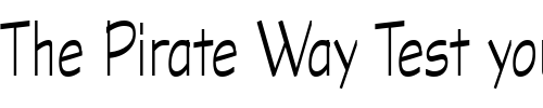 Font : Graphite-Light-Narrow-CE-ATT Custom Text : The Pirate Way Test your own text here Click to download or to view this font on a tshirt that can be custom printed in Bali