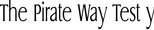 Font : GriffonCondensedLight-Regular Custom Text : The Pirate Way Test your own text here Click to download or to view this font on a tshirt that can be custom printed in Bali