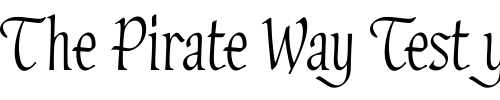 Font : Hadfield-LET-Plain-1 Custom Text : The Pirate Way Test your own text here Click to download or to view this font on a tshirt that can be custom printed in Bali