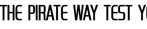 Font : Handel-Gothic-Compress-D-Light Custom Text : The Pirate Way Test your own text here Click to download or to view this font on a tshirt that can be custom printed in Bali