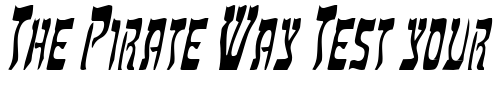 Font : HebrewCondensed-Italic Custom Text : The Pirate Way Test your own text here Click to download or to view this font on a tshirt that can be custom printed in Bali