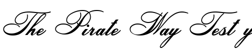 Font : HeddyOpti-Script Custom Text : The Pirate Way Test your own text here Click to download or to view this font on a tshirt that can be custom printed in Bali