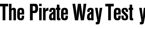 Font : HegelCondMedium-Regular Custom Text : The Pirate Way Test your own text here Click to download or to view this font on a tshirt that can be custom printed in Bali