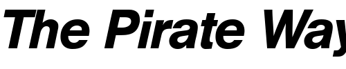 Font : HegelMedium-RegularItalic Custom Text : The Pirate Way Test your own text here Click to download or to view this font on a tshirt that can be custom printed in Bali