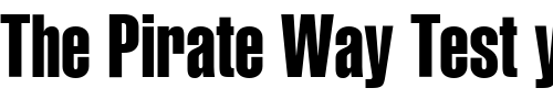 Font : HeliosExtraCompressed Custom Text : The Pirate Way Test your own text here Click to download or to view this font on a tshirt that can be custom printed in Bali