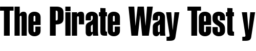 Font : Helvetica-LT-Extra-Compressed Custom Text : The Pirate Way Test your own text here Click to download or to view this font on a tshirt that can be custom printed in Bali