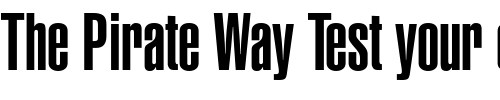 Font : Helvetica-LT-Ultra-Compressed Custom Text : The Pirate Way Test your own text here Click to download or to view this font on a tshirt that can be custom printed in Bali