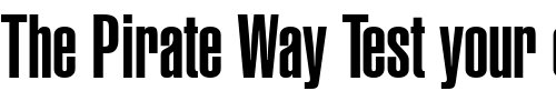 Font : Helvetica-UltraCompressed Custom Text : The Pirate Way Test your own text here Click to download or to view this font on a tshirt that can be custom printed in Bali