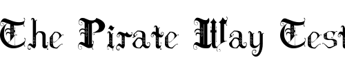 Font : Hilda-Sonnenschein Custom Text : The Pirate Way Test your own text here Click to download or to view this font on a tshirt that can be custom printed in Bali