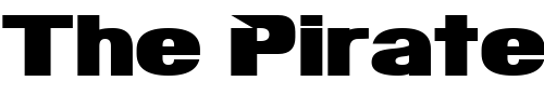 Font : Infinite-Justice-Straight Custom Text : The Pirate Way Test your own text here Click to download or to view this font on a tshirt that can be custom printed in Bali