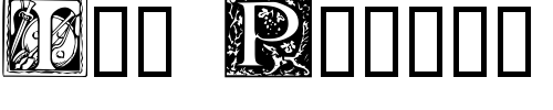 Font : Initials Custom Text : The Pirate Way Test your own text here Click to download or to view this font on a tshirt that can be custom printed in Bali