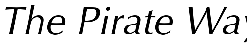 Font : Interface-SSi-Italic Custom Text : The Pirate Way Test your own text here Click to download or to view this font on a tshirt that can be custom printed in Bali