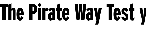 Font : Interstate-BlackCompressed Custom Text : The Pirate Way Test your own text here Click to download or to view this font on a tshirt that can be custom printed in Bali