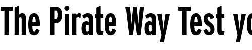 Font : Interstate-BoldCompressed Custom Text : The Pirate Way Test your own text here Click to download or to view this font on a tshirt that can be custom printed in Bali