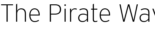 Font : Interstate-ExtraLight Custom Text : The Pirate Way Test your own text here Click to download or to view this font on a tshirt that can be custom printed in Bali