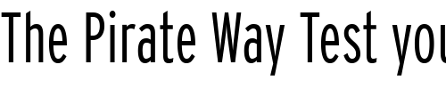 Font : Interstate-Light-Comp Custom Text : The Pirate Way Test your own text here Click to download or to view this font on a tshirt that can be custom printed in Bali