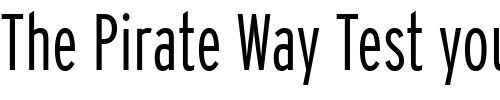 Font : Interstate-LightCompressed Custom Text : The Pirate Way Test your own text here Click to download or to view this font on a tshirt that can be custom printed in Bali