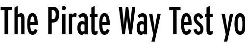 Font : Interstate-RegularCompressed Custom Text : The Pirate Way Test your own text here Click to download or to view this font on a tshirt that can be custom printed in Bali