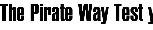Font : Jackson-Regular Custom Text : The Pirate Way Test your own text here Click to download or to view this font on a tshirt that can be custom printed in Bali