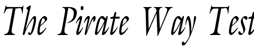 Font : JoulliardCondensed-Italic Custom Text : The Pirate Way Test your own text here Click to download or to view this font on a tshirt that can be custom printed in Bali