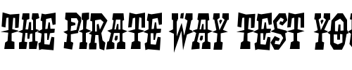 Font : Kadonk-Regular Custom Text : The Pirate Way Test your own text here Click to download or to view this font on a tshirt that can be custom printed in Bali