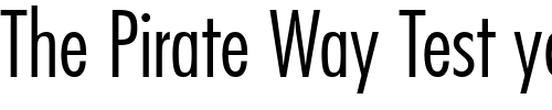 Font : Kudos-Light-Condensed-SSi-Light-Condensed Custom Text : The Pirate Way Test your own text here Click to download or to view this font on a tshirt that can be custom printed in Bali