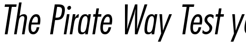 Font : Kudos-Light-Condensed-SSi-Light-Condensed-Italic Custom Text : The Pirate Way Test your own text here Click to download or to view this font on a tshirt that can be custom printed in Bali