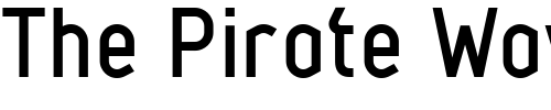 Font : Metsys-Medium Custom Text : The Pirate Way Test your own text here Click to download or to view this font on a tshirt that can be custom printed in Bali