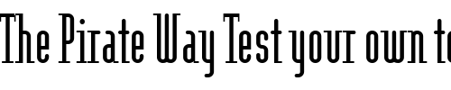 Font : ModulaRoundSerif-Regular Custom Text : The Pirate Way Test your own text here Click to download or to view this font on a tshirt that can be custom printed in Bali