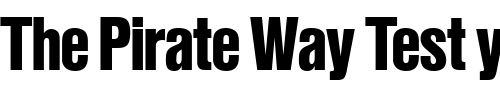 Font : NimbusSanPBlaCon Custom Text : The Pirate Way Test your own text here Click to download or to view this font on a tshirt that can be custom printed in Bali