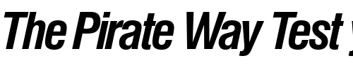 Font : NimbusSanPEECon-Bold-Italic Custom Text : The Pirate Way Test your own text here Click to download or to view this font on a tshirt that can be custom printed in Bali