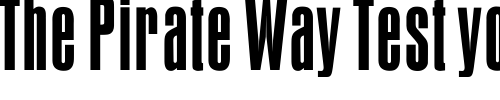 Font : OPTIAuroraCondensed Custom Text : The Pirate Way Test your own text here Click to download or to view this font on a tshirt that can be custom printed in Bali