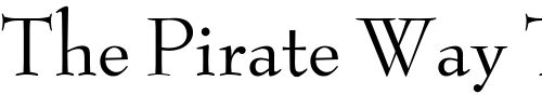 Font : OPTIBenjieModern Custom Text : The Pirate Way Test your own text here Click to download or to view this font on a tshirt that can be custom printed in Bali