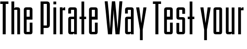 Font : OPTIBinderStyle-Light Custom Text : The Pirate Way Test your own text here Click to download or to view this font on a tshirt that can be custom printed in Bali