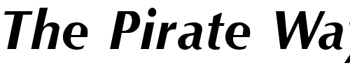 Font : Optim-Bold-Italic Custom Text : The Pirate Way Test your own text here Click to download or to view this font on a tshirt that can be custom printed in Bali