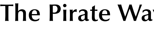 Font : OptimaBold-Demi Custom Text : The Pirate Way Test your own text here Click to download or to view this font on a tshirt that can be custom printed in Bali