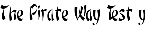Font : OrientNarrow-Regular Custom Text : The Pirate Way Test your own text here Click to download or to view this font on a tshirt that can be custom printed in Bali