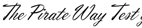 Font : Orion-Script-Normal Custom Text : The Pirate Way Test your own text here Click to download or to view this font on a tshirt that can be custom printed in Bali