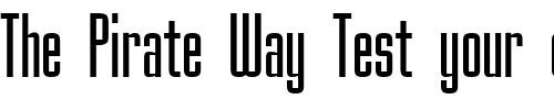 Font : OrlandoRegular Custom Text : The Pirate Way Test your own text here Click to download or to view this font on a tshirt that can be custom printed in Bali
