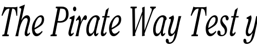 Font : OxfordCondensed-Italic Custom Text : The Pirate Way Test your own text here Click to download or to view this font on a tshirt that can be custom printed in Bali