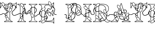 Font : PC-Lights Custom Text : The Pirate Way Test your own text here Click to download or to view this font on a tshirt that can be custom printed in Bali
