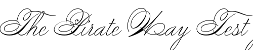 Font : PScript Custom Text : The Pirate Way Test your own text here Click to download or to view this font on a tshirt that can be custom printed in Bali