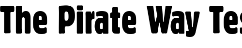 Font : PT-Bloc-Extra-Condensed-Cyrillic Custom Text : The Pirate Way Test your own text here Click to download or to view this font on a tshirt that can be custom printed in Bali
