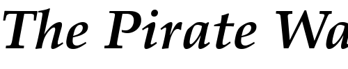 Font : Palatino-LT-Bold-Italic Custom Text : The Pirate Way Test your own text here Click to download or to view this font on a tshirt that can be custom printed in Bali