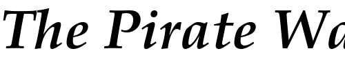 Font : Palatino-S-Bold-Italic Custom Text : The Pirate Way Test your own text here Click to download or to view this font on a tshirt that can be custom printed in Bali